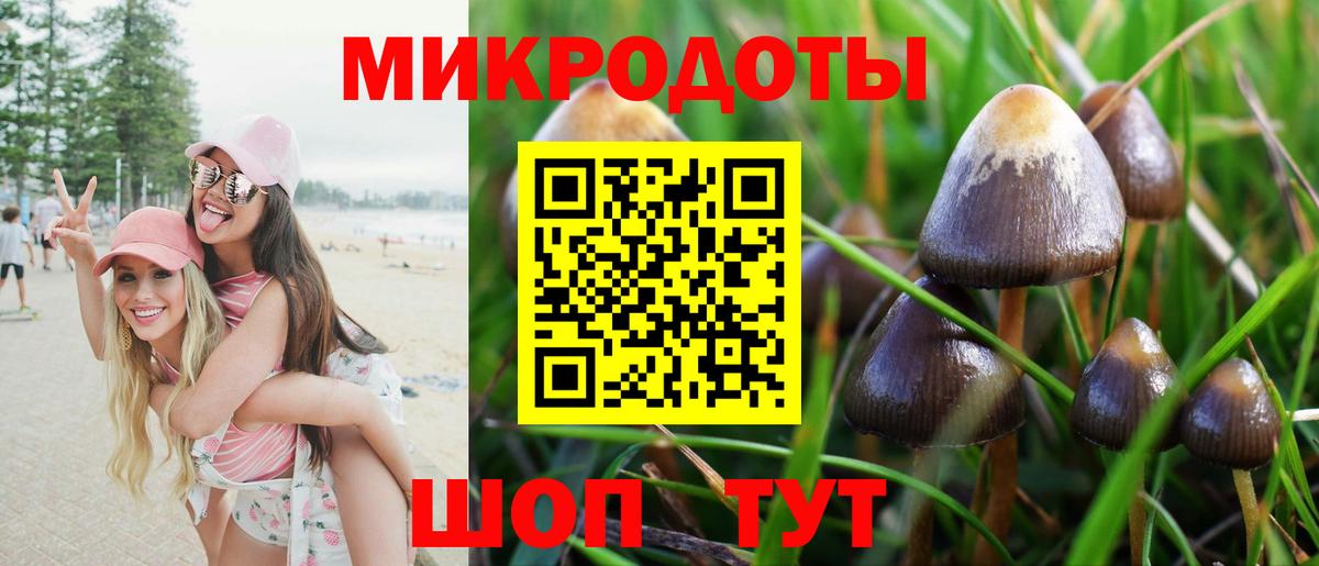 Псилоцибиновые грибы прущие грибы Кубинка