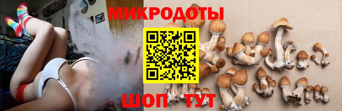 Кубинка  сколько стоит  Вход с VPN  Галлюциногенные грибы Psilocybe 